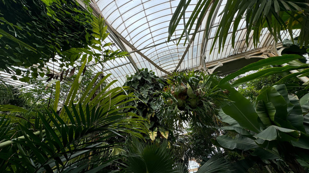 Kew Gardens